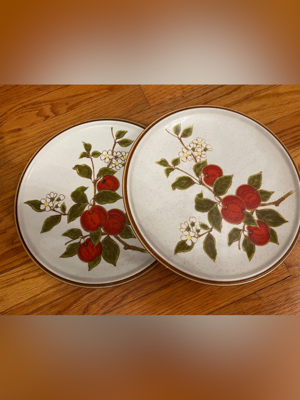 Set of 2 Vintage Mikasa Natural Beauty Crab Apple C9002 Dinner Plates 10.5"